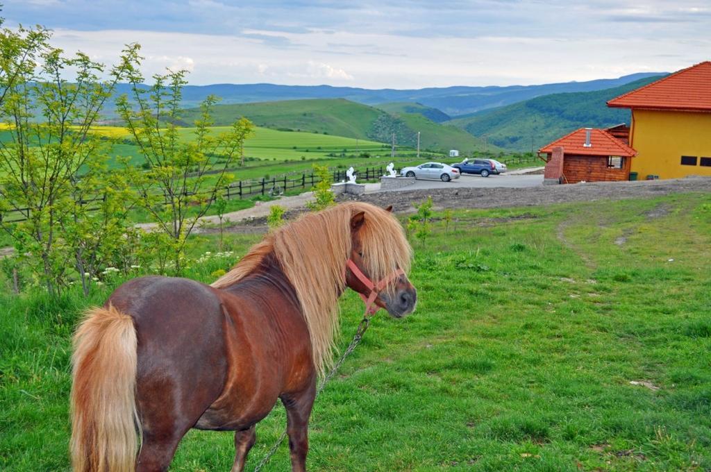 Pensiunea Cheile Apusenilor Sandulesti Luaran gambar