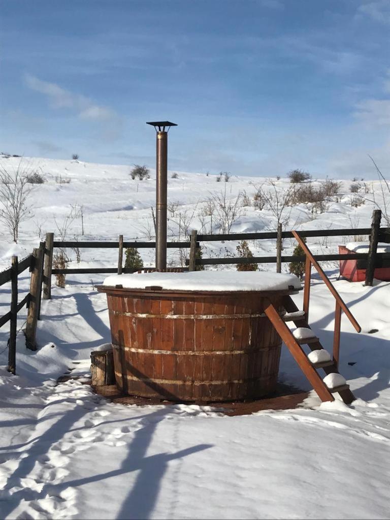 Pensiunea Cheile Apusenilor Sandulesti Luaran gambar