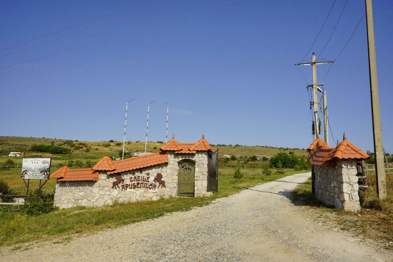 Pensiunea Cheile Apusenilor Sandulesti Luaran gambar